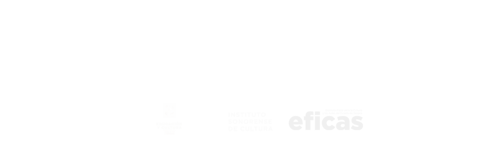 Puro Chuqui Logos